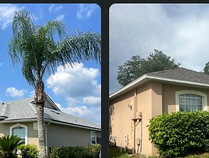 Florida stucco home with new shingle roof framed by palm trees